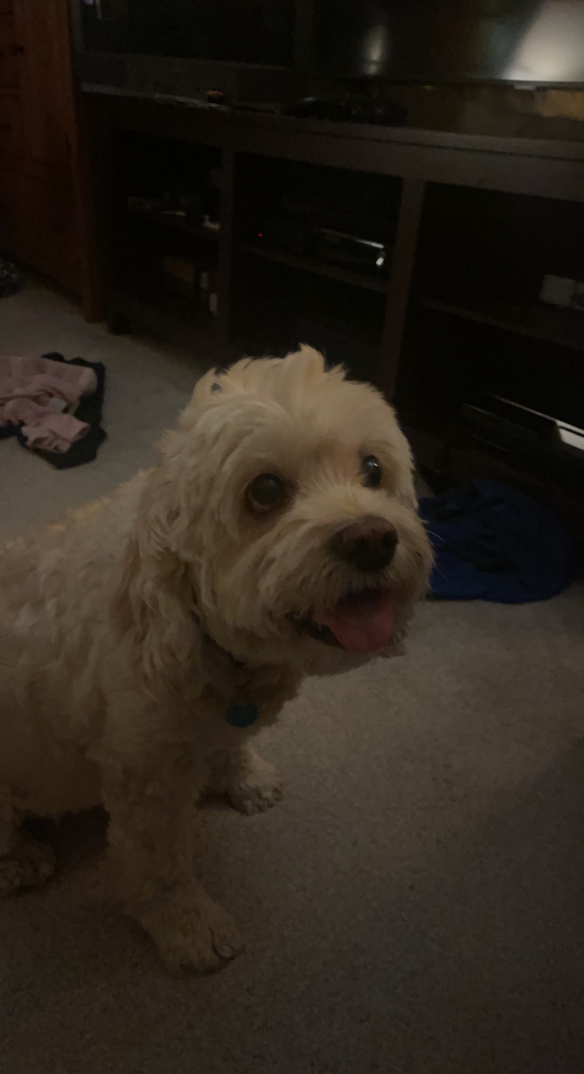 Random Winnie