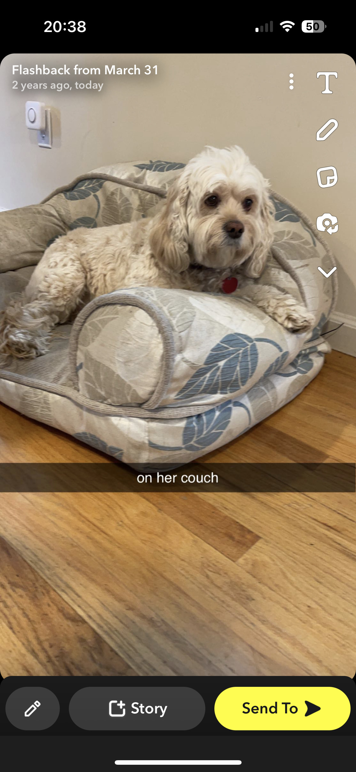 Winnie of the Day