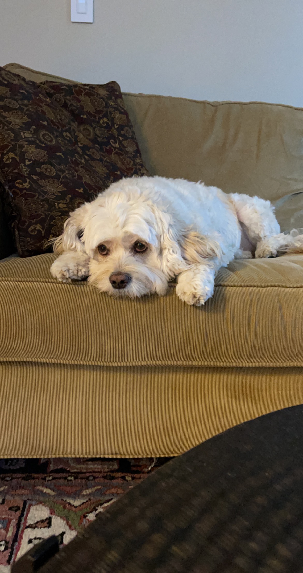 Winnie of the Day