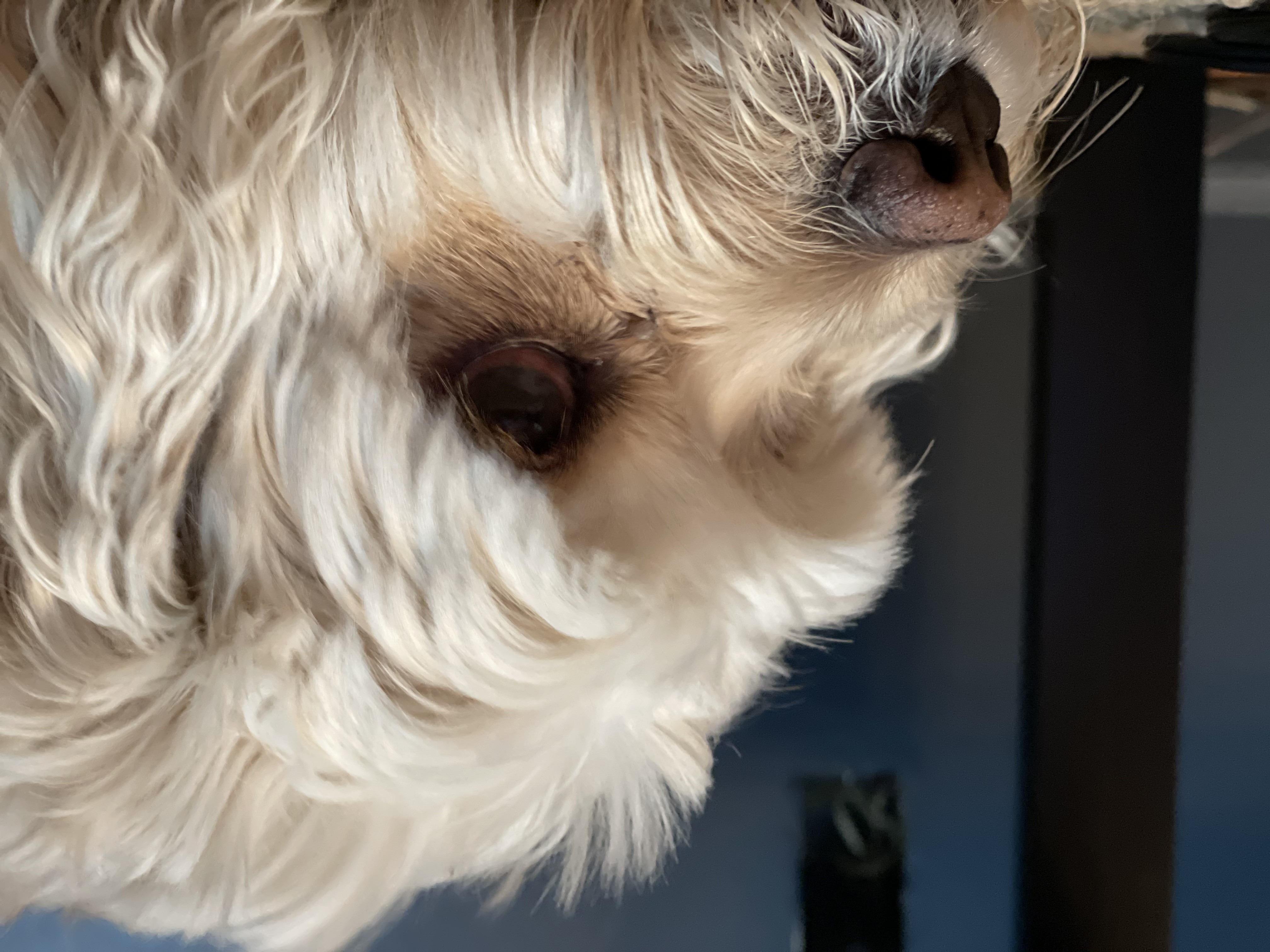 Winnie of the Day
