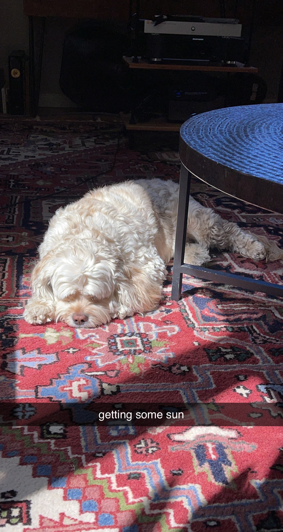 Winnie of the Day