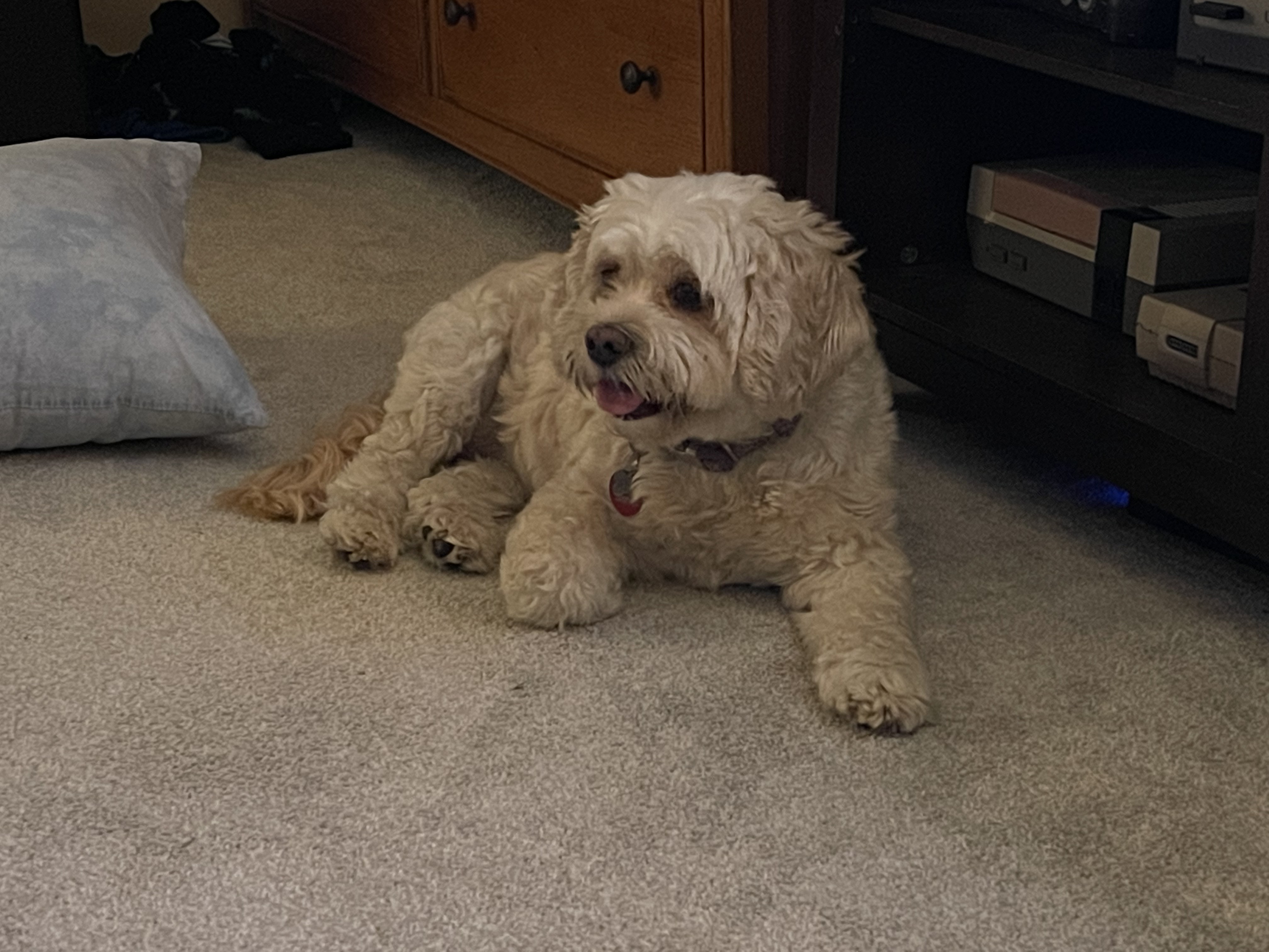 Winnie of the Day