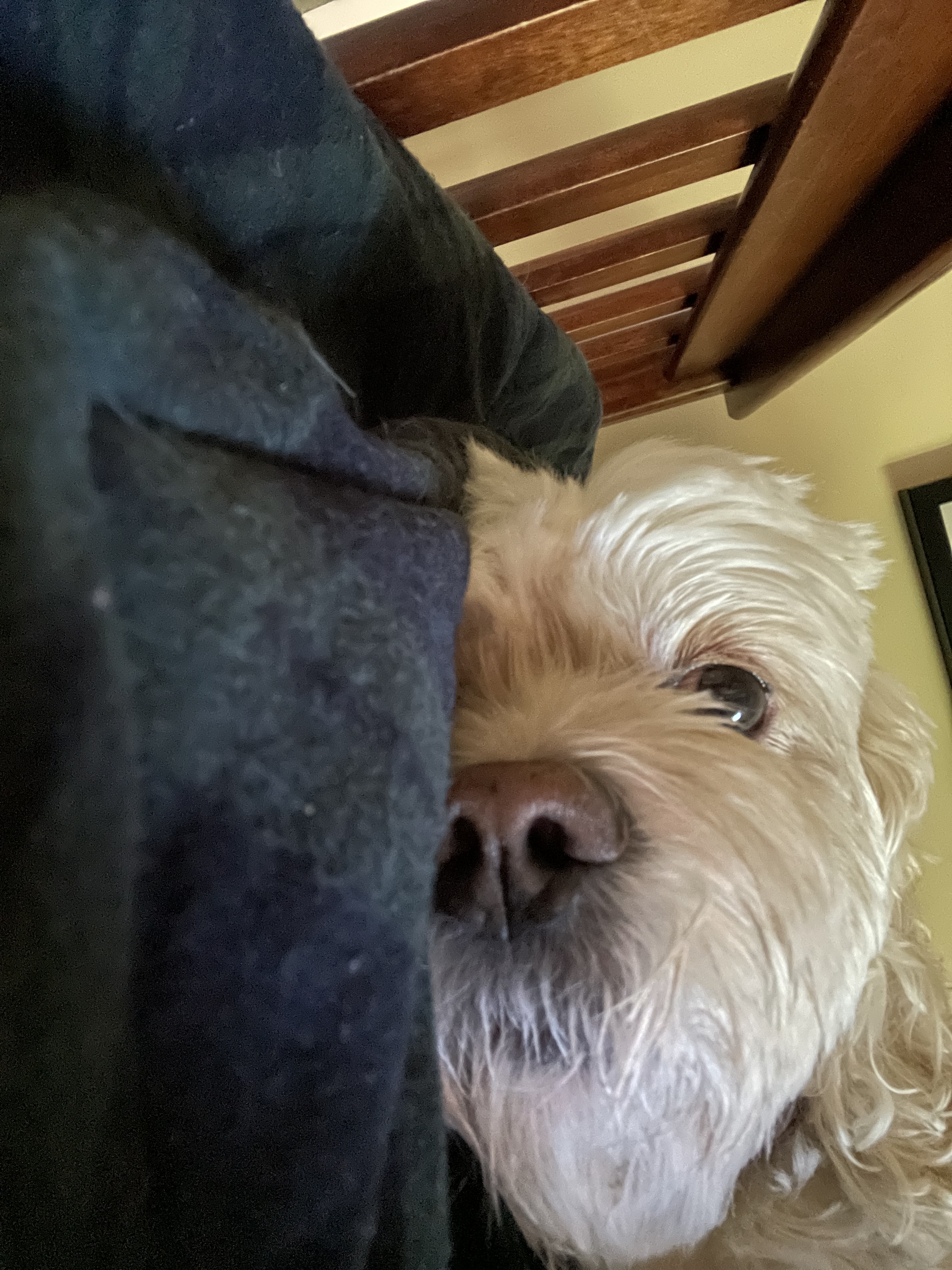 Winnie of the Day